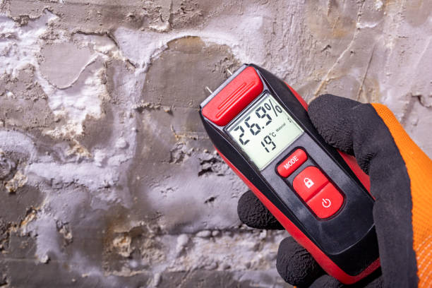 Best Industrial Mold Remediation in Atwood, IL
