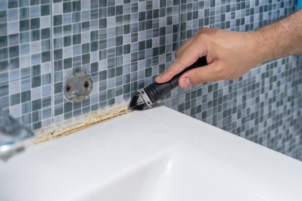 Best Mold Remediation for Specific Building Types in Atwood, IL
